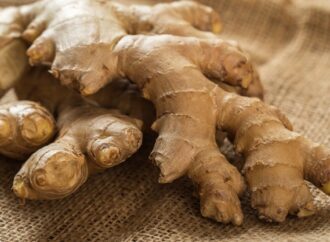 4 HERBAL BERMANFAAT UNTUK KESEHATAN LANSIA