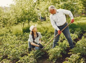 BANYAK BERGERAK OPTIMALKAN KESEHATAN OTAK LANSIA