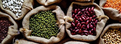 Kacang-kacangan (Pulses) dan Pencegahan Kanker