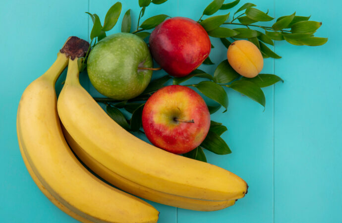 TIPS MENJAGA KESEHATAN MIKROBIOMA LANSIA (2)