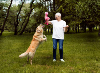 Rahasia #1: Cara Hewan Peliharaan MENINGKATKAN AKTIVITAS FISIK Kita Seiring Bertambahnya Usia
