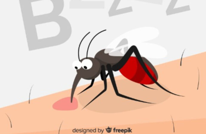 20 Agustus – HARI NYAMUK SEDUNIA: Dari Gigitan Kecil Hingga Ancaman Besar