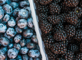 Buah Berry Kaya Antioksidan: BLUEBERRY & BLACKBERRY