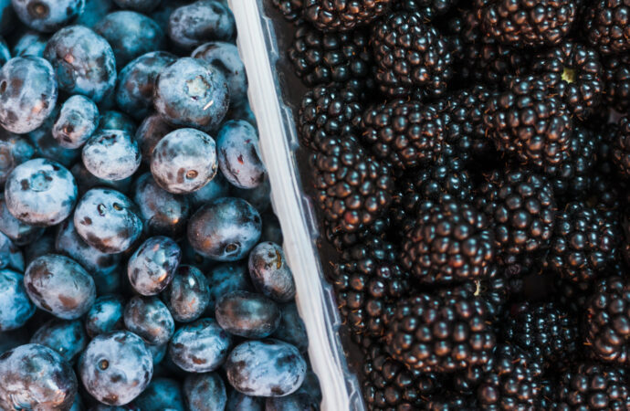 Buah Berry Kaya Antioksidan: BLUEBERRY & BLACKBERRY