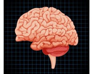 5 Oktober – Hari Meningitis Sedunia: Kesadaran Global untuk Selamatkan Nyawa