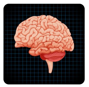 5 Oktober – Hari Meningitis Sedunia: Kesadaran Global untuk Selamatkan Nyawa