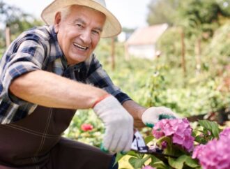 5 Langkah Melawan Kerapuhan: Menjaga Tubuh Tetap Kuat di Usia Lanjut