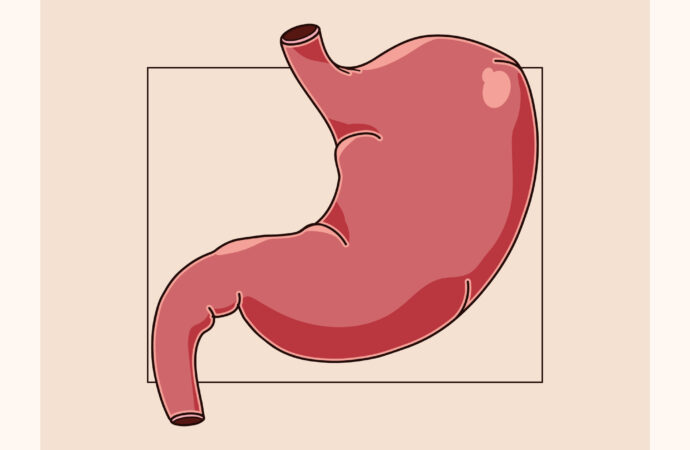 Kanker Lambung: Lansia Berisiko Lebih Tinggi, Namun Masih Bisa Dicegah